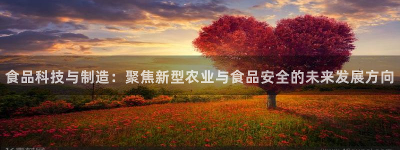 彩名堂免费计划官网购彩计划