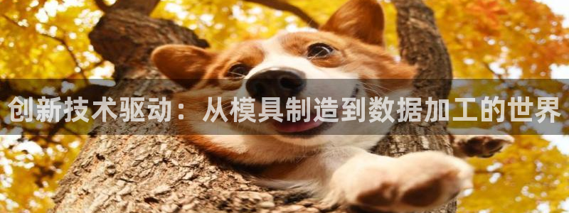 彩名堂3d
