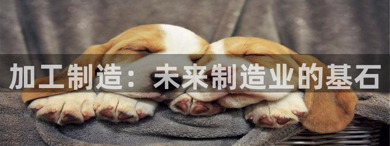彩名堂客服电话号码