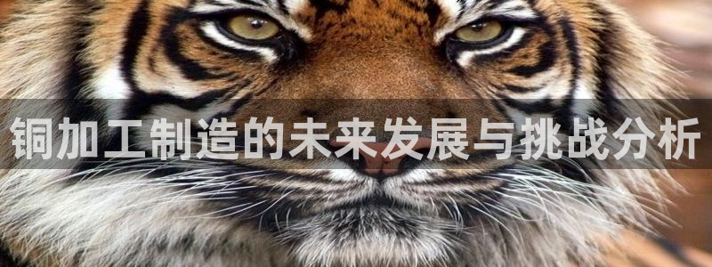 彩名堂苹果版怎么不能用了