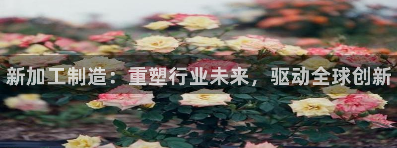 彩名堂加拿大怎么买准确率高