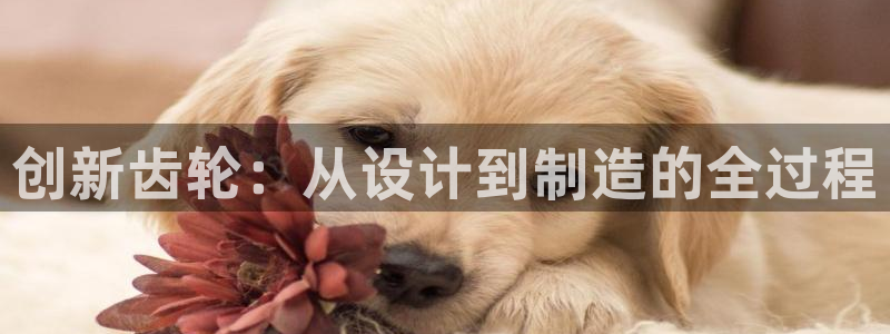 老版彩名堂