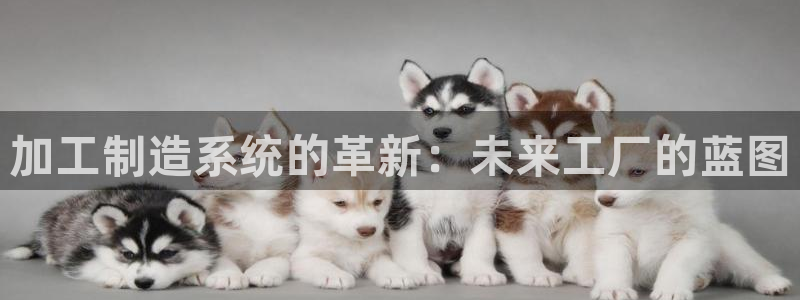 彩名堂计划和01计划怎么很稳