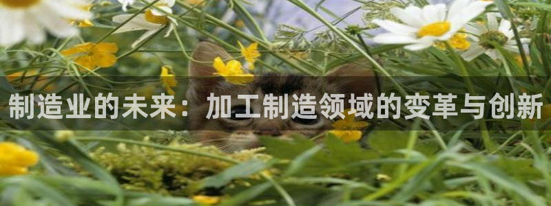 彩名堂开奖结果查询