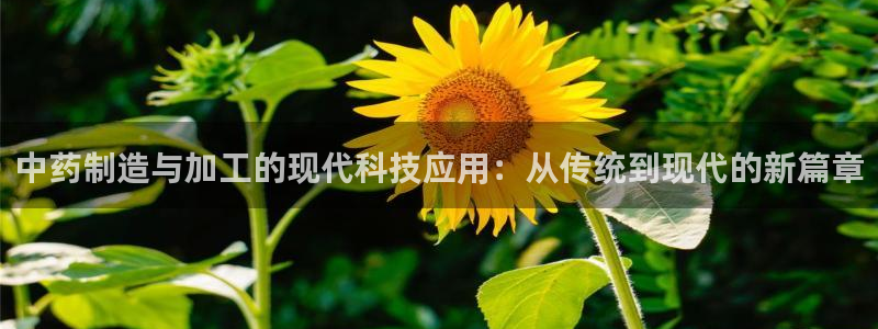 彩名堂怎么样