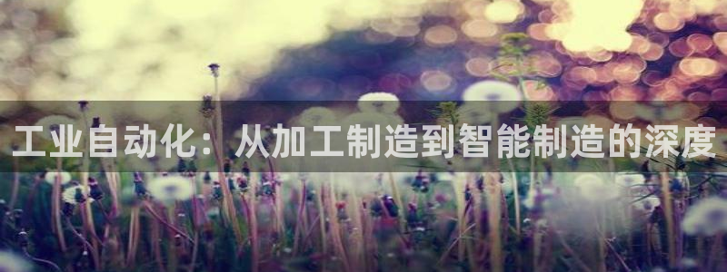 彩名堂预测官网