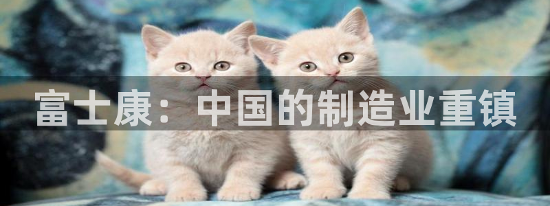 彩名堂官网2