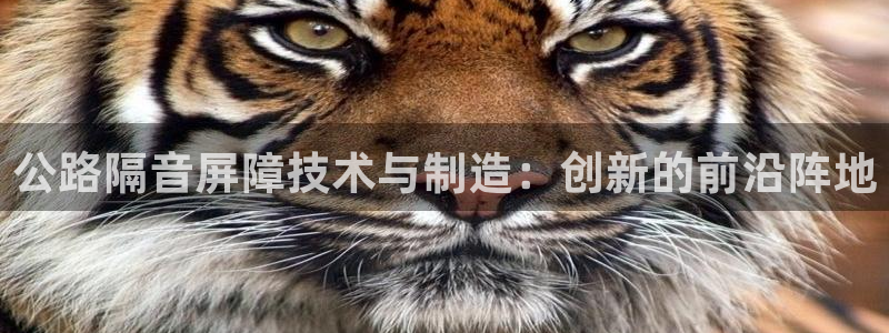 彩名堂使用方法和用量