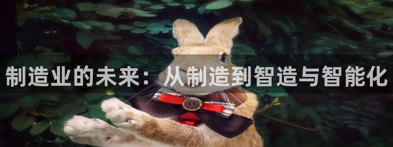 彩名堂怎么选稳定计划