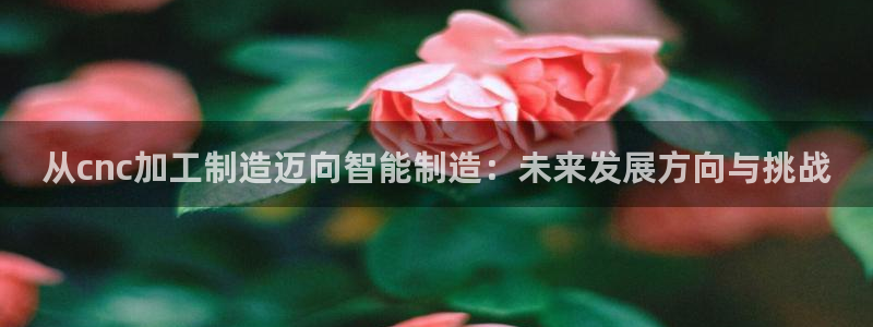 彩名堂免费计划使用方法是什么
