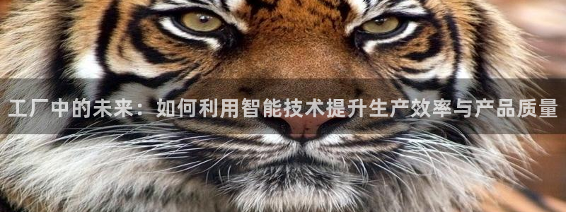 彩名堂移动客户端