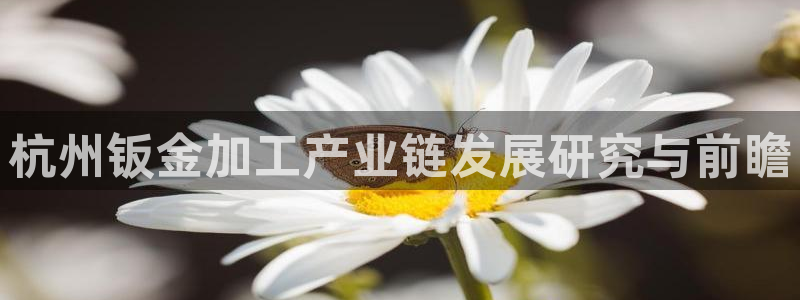 彩名堂官网计划01