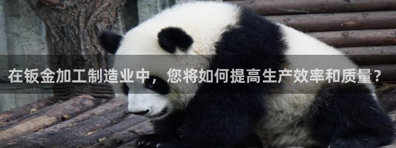 彩名堂官网计划