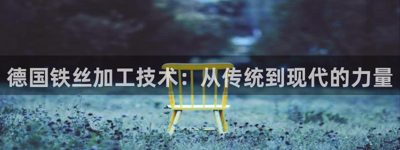 彩名堂预测