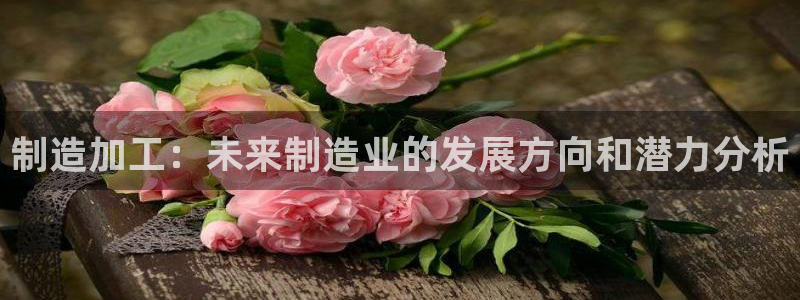 下载苹果手机版彩名堂