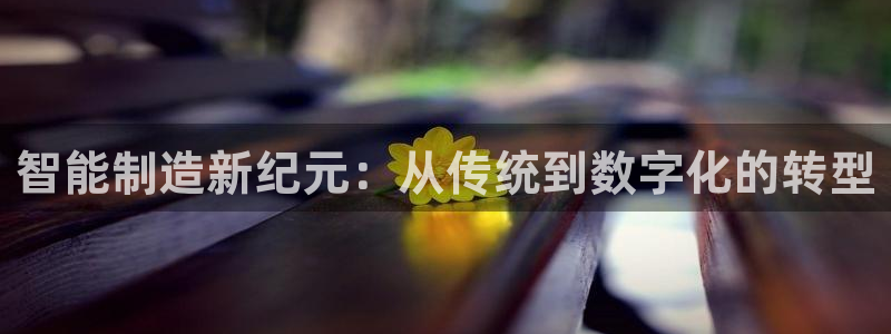 最新彩名堂计划