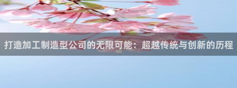 彩名堂人工计划客户端官网