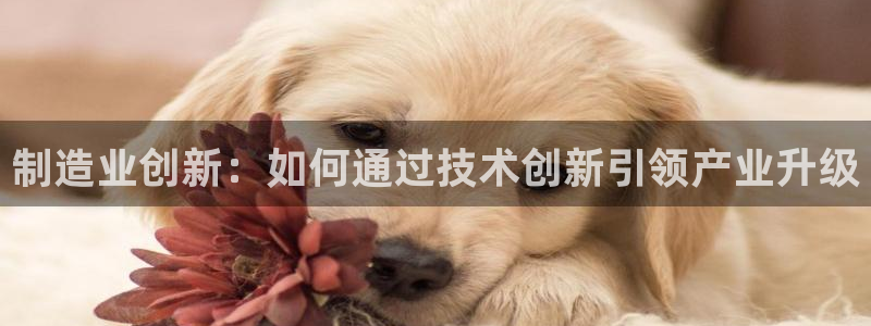 彩名堂上推荐的几个平台怎样