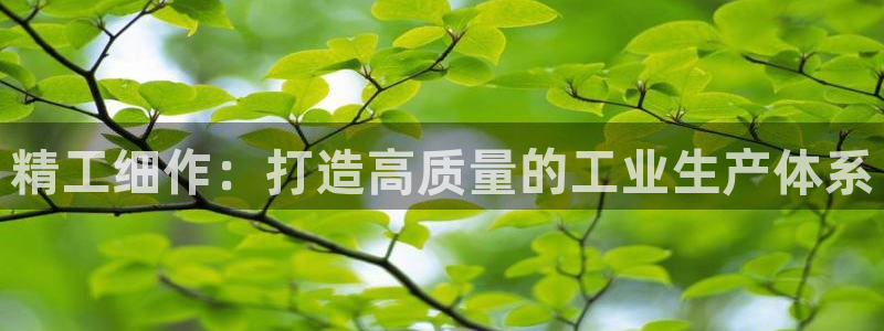 彩名堂app计划官方网站