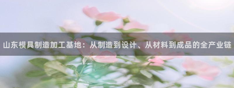 彩名堂官网网页计划