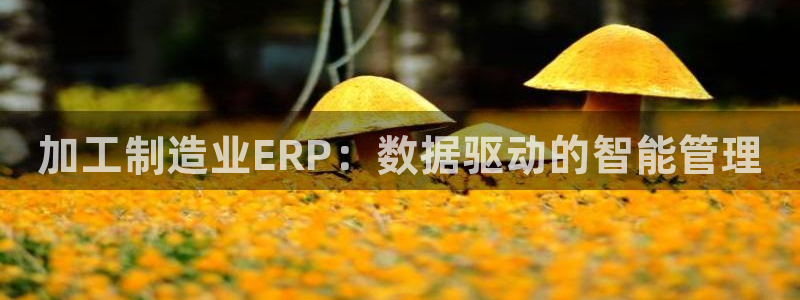 彩名堂预测官网