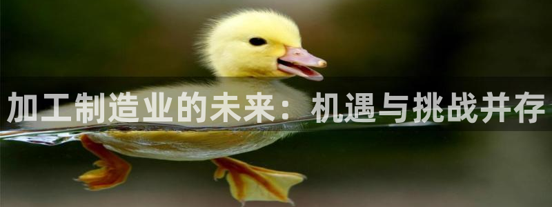 彩名堂预测网站