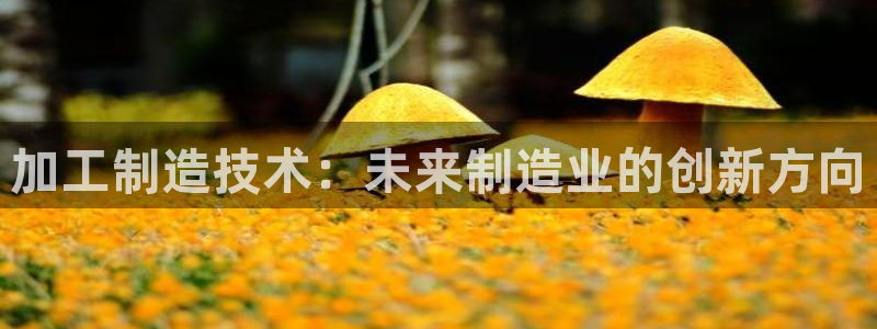 彩名堂预测软件与分析