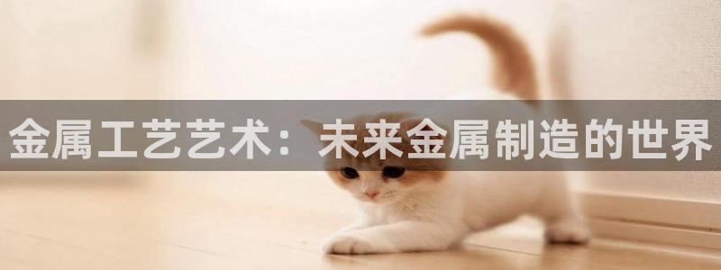 彩名堂还可以用吗