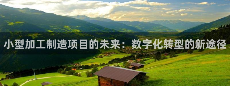 彩名堂不能用了吗