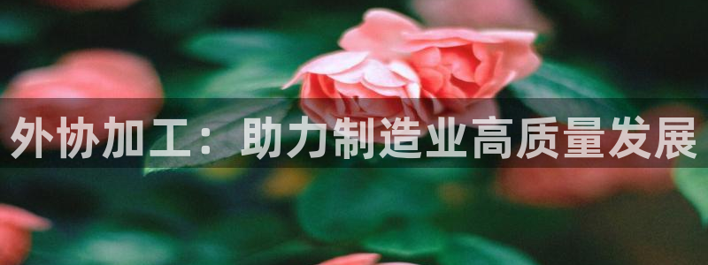 彩名堂好用还是千里马好用一点