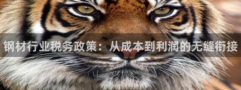 彩名堂预测