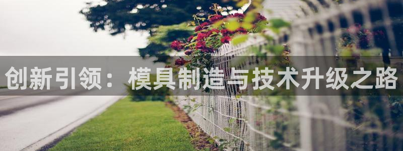 彩名堂好用还是千里马好用