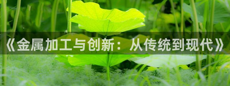 彩名堂平台