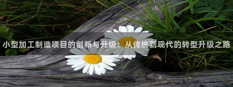 彩名堂苹果版怎么不能用了