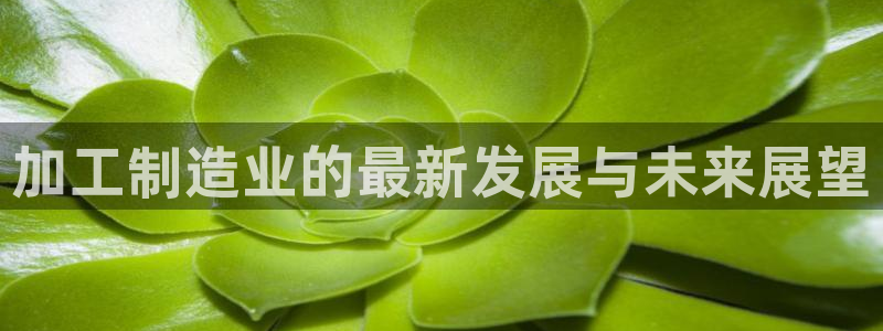 彩名堂双彩网