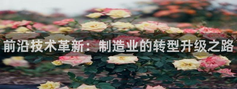 彩名堂客户端是永久免费吗