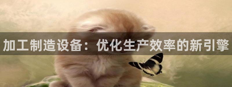 彩名堂官网计划