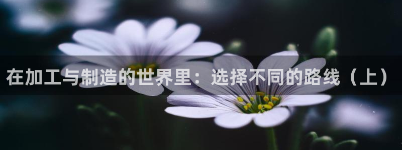 彩名堂免费计划官网50下载957