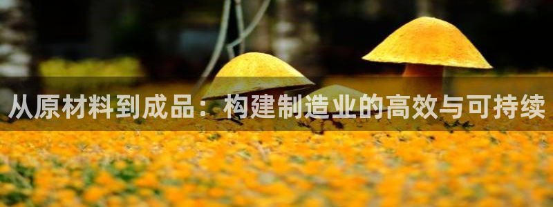 彩名堂客户端加拿大