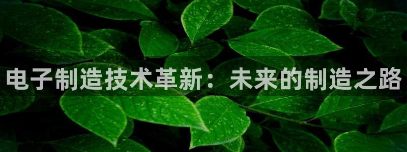 彩名堂计划官方客服