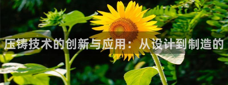 彩名堂手机版官网