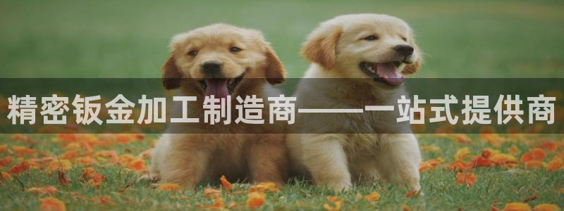 彩名堂到底怎么看,一跟就挂