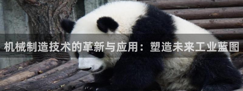 彩名堂人工计划客户端官网