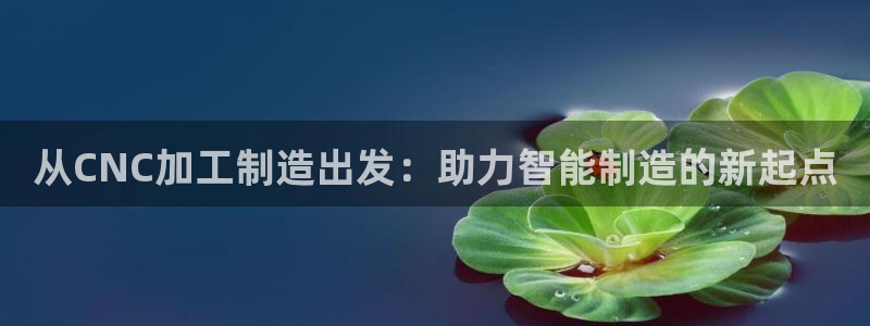 老版本彩名堂计划软件