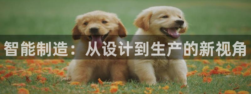 彩名堂改名稻草人了吗是真的吗