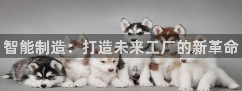 彩名堂计划最新版手机版