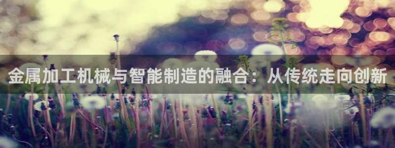 彩名堂好用还是千里马好用一点