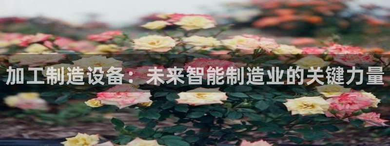 彩名堂手机客户端怎么下载