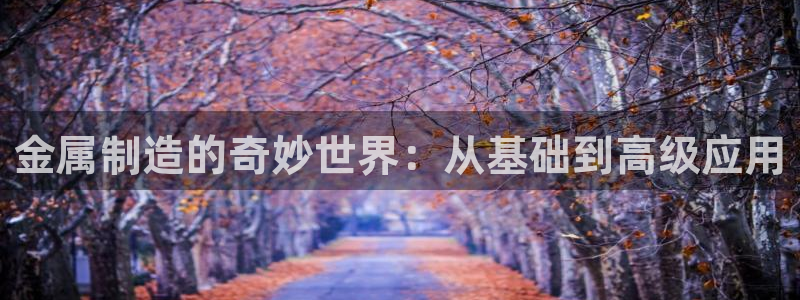 彩名堂官方平台