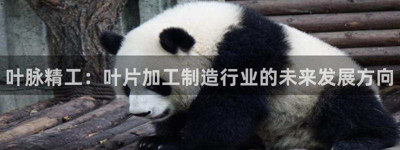 彩名堂计划技巧有哪些